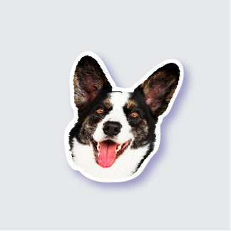 Pet & Face Stickers